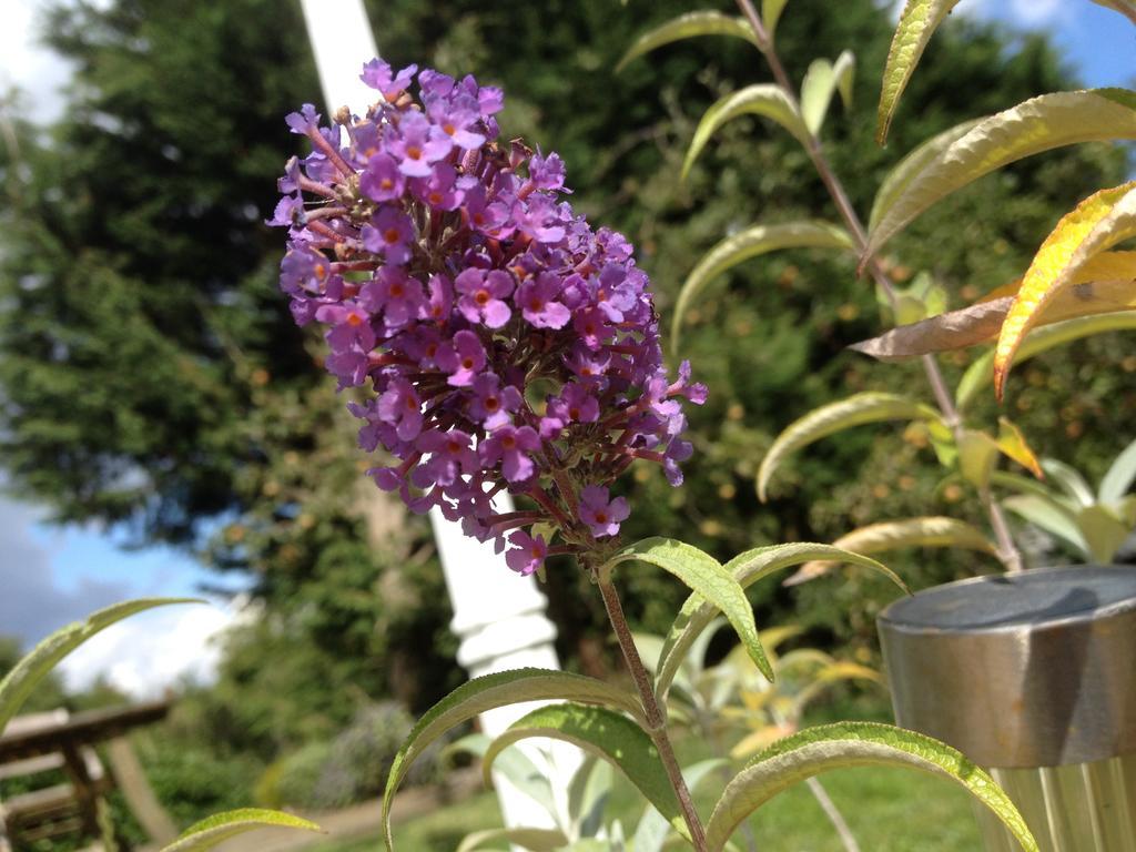 The Stables B&B @ Pear Tree Cottage 윈슬로 외부 사진